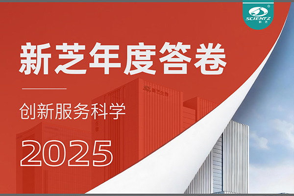 「新芝2025年度答卷」以深耕赴山海，以創新啟新程！